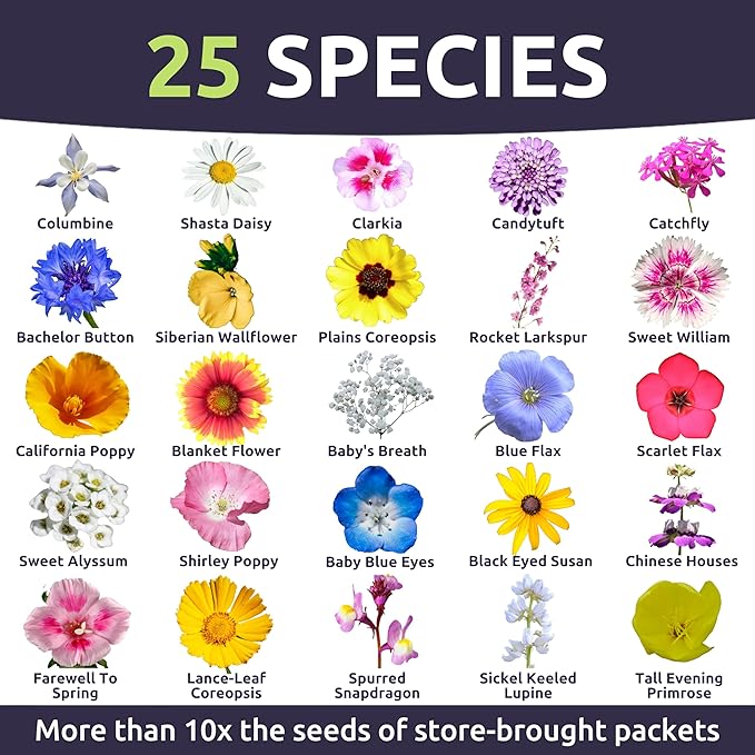 Pacific Northwest Regional Mix - Large 1 Ounce Packet - 24,000 Flower Seeds for Planting - Wildflower Mix