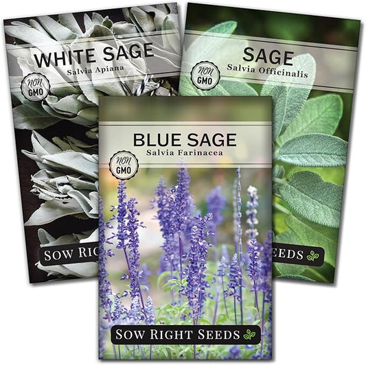 Sow Right Seeds - Sage Seed Collection - Salvia Seeds for Planting Indoors & Outdoors - Non-GMO Heirloom Common, White & Blue Varieties - Grow Aromatic Herb Garden - Perfect for Herbal or Culinary Use