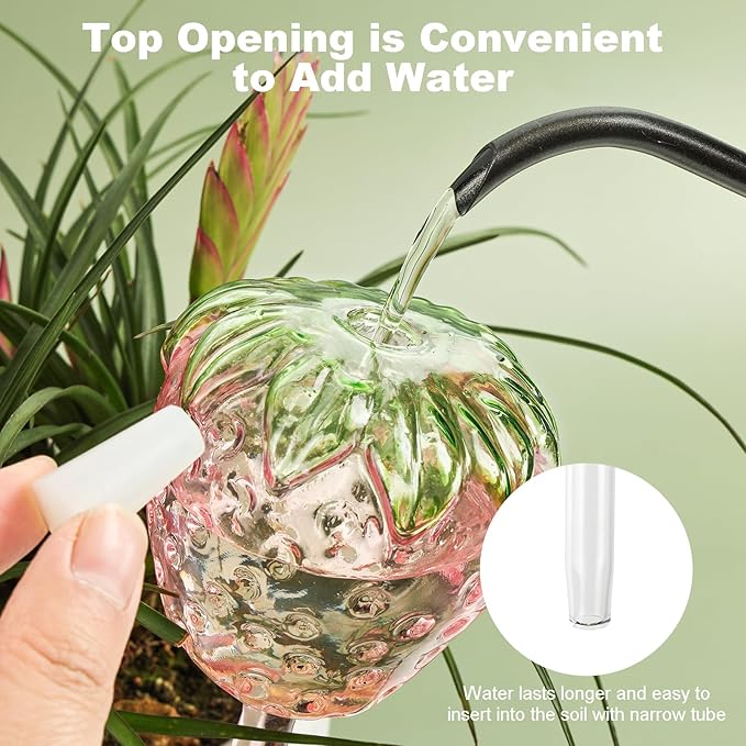 3 Packs Strawberry Plant Watering Globes, Large Water Globes for Indoor Plants, Glass Self Watering Planter Insert, Top-Fill Watering Bulbs for Indoor Outdoor Plants