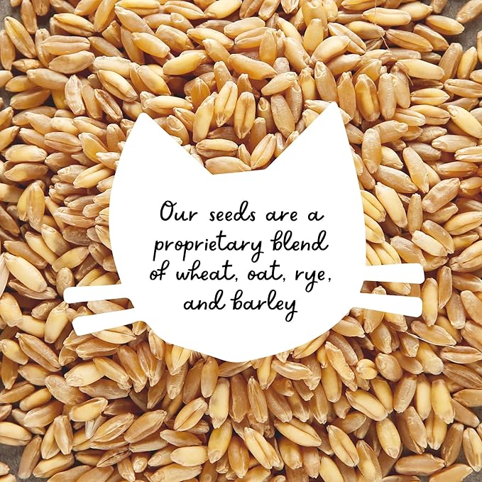 Cat Grass Growing Kit -Organic Seed, Soil and BPA Free containers (Non GMO). All of Our Seed is Locally sourced! (1 Pack)