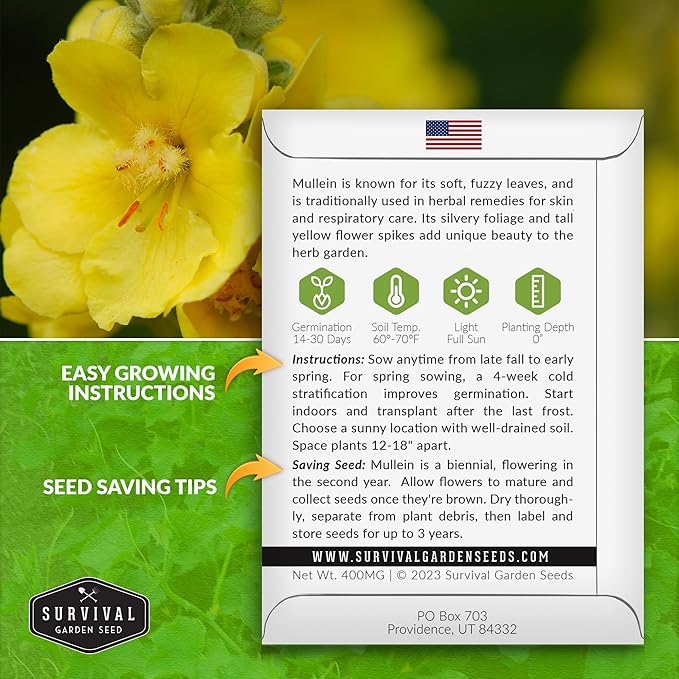 Mullein Seed for Planting - 3 Packets with Instructions to Plant and Grow Medicinal Herb Common Mullein in Your Home Vegetable Garden - Non-GMO Heirloom Variety - Survival Garden Seeds