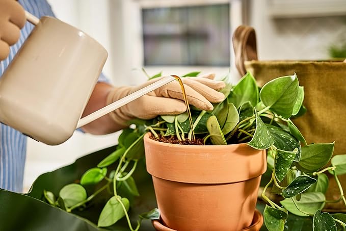 Miracle-Gro Organic Plant Food, Made from Plants for All Plants, Use with Indoor or Outdoor Container Plants and In-Ground Gardens, OMRI Listed, 32 oz.