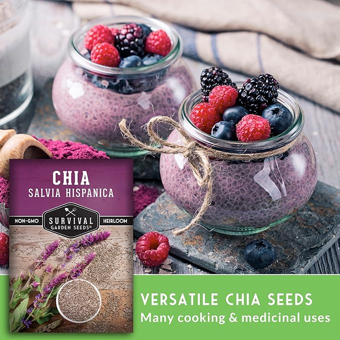 Mexican Chia Seed for Planting - 2 Packets with Instructions to Plant and Grow Mexican Chia in Your Home Vegetable Garden - Non-GMO Heirloom Variety - Survival Garden Seeds