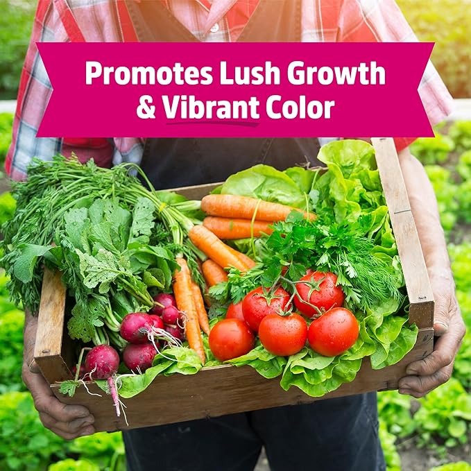 Back to the Roots 100% Organic Blood Meal | Made in The USA | Premium Nutrition for Indoor and Outdoor Plants