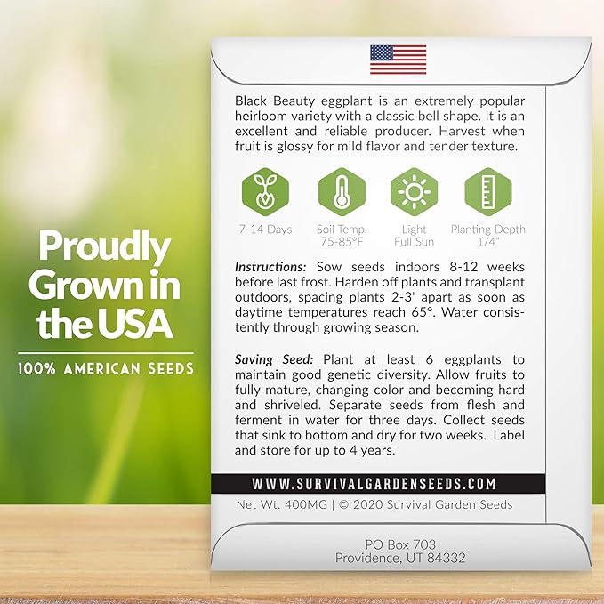 5 Packs Black Beauty Eggplant Seed for Planting - Packet with Instructions to Grow Purple Aubergine Plants in Your Home Vegetable Garden - Non-GMO Heirloom Variety - Survival Garden Seeds