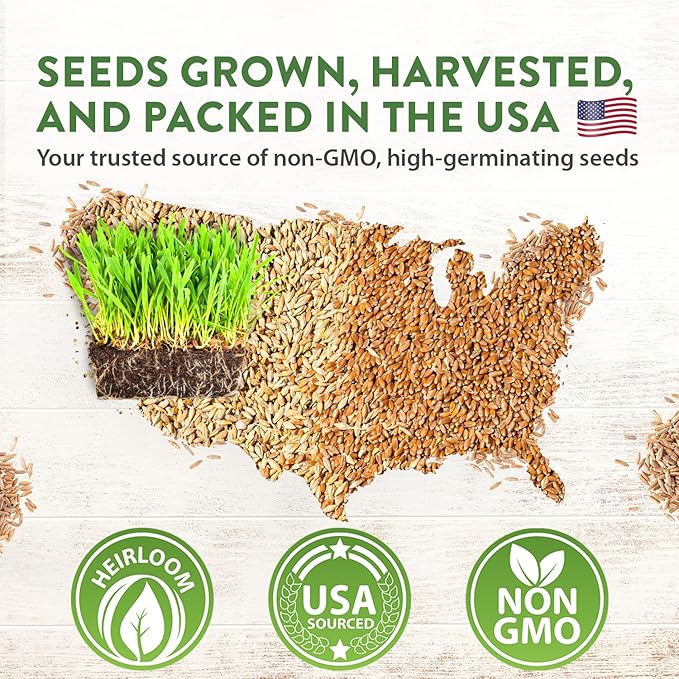 1 Pound Cat Grass Seeds for Cat & Kittens - 100% π‘π’π‘-ππ π’ π¨π¦π, Heirloom | Grow Fresh Kitty Grass for Chewing | Pet Grass for Cats Indoor Garden | Wheatgrass Seeds for Pets | Healthy Cat Greens