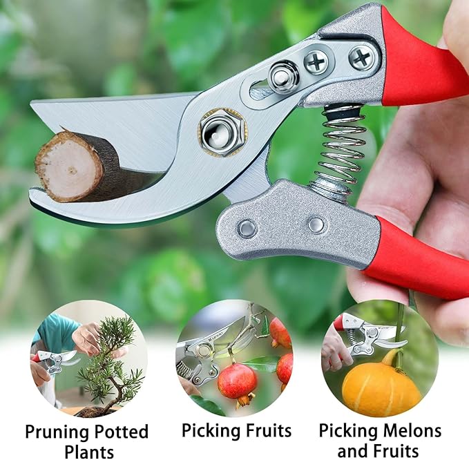 Kynup Pruning Shears for Gardening, Garden Hand Shears, Professional Bypass Pruner Hand Shears Heavy Duty, Pruners for Gardening, Garden Clippers, Hedge Shears, Garden Tools(Red)