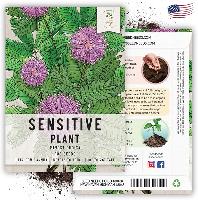 Seed Needs Sensitive Plant Seeds for Planting Mimosa pudica - Heirloom & Open Pollinated Annual Flowers - Pink Blooms with Leaves That React to Touch (5 Packs)