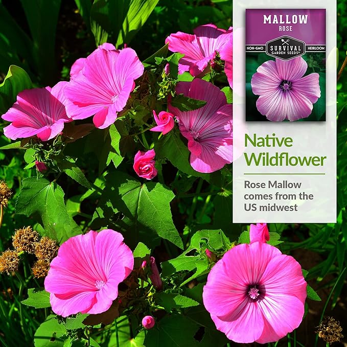 Survival Garden Seeds - Rose Mallow Seed for Planting - 3 Packs with Instructions to Plant and Grow Bright Pink Native Wildflower in Your Home Vegetable Garden - Non-GMO Heirloom Variety