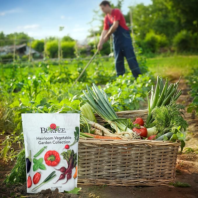 Burpee Heirloom Vegetable Seeds, Variety Pack with 35 Varieties of Plant Seeds, 30,000+ Garden Seeds - Mixed Non-GMO Seeds with Select Varieties of Lettuce, Beans, Tomatoes, Peppers, Squash and More
