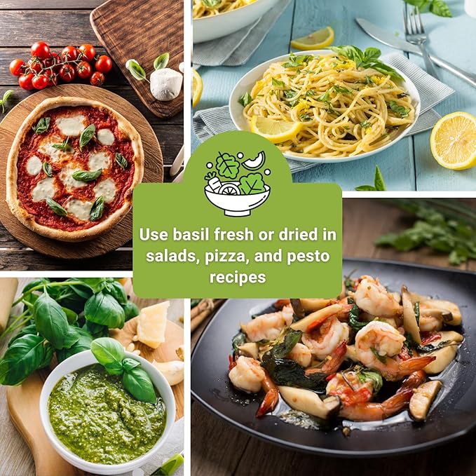 Sow Right Seeds - Large Basil Seed Collection for Planting - Genovese, Greek, Opal, Thai, and Lemon Basil - Non-GMO Heirloom Packets to Grow Indoors or Outdoor - Kitchen Herb Gardening f1