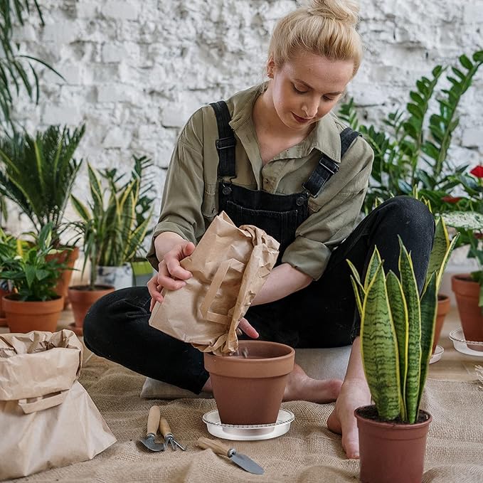 6 Pack Plant Saucer 6 8 10 12 14 Inch Plastic Plant Tray, Sturdy and Durable Flower Pot Container Accessories Plant Pot Saucers for Indoor and Outdoor (6 Inch, Clear)