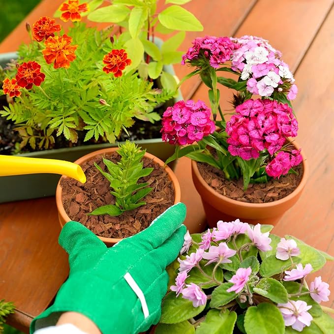 Halatool 10 Pcs Coconut Coir Chips for Plants - 11 LB 100% Organic Coco Husk Chip Bricks with Low EC and pH Balanced, Compressed Coco Substrate Growing Mulch Medium for Garden Herbs, Plants, Flowers