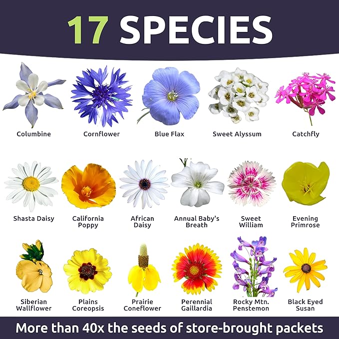 Rocky Mountain Regional Mix - Bulk 1/4 Pound Pouch - 100,000 Flower Seeds for Planting - Wildflower Mix