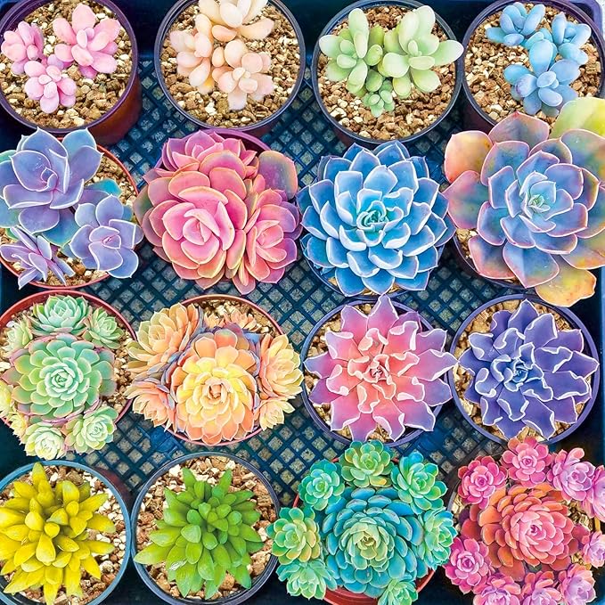 Halatool 6QT Horticulture Vermiculite Professional Soil Addictive Coarse Grade Vermiculite for Plants Gardening Mushrooms Seed Starting Cat Grass