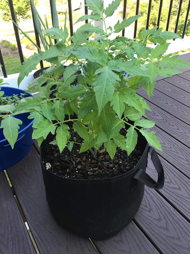 24-Pack 3 Gallon Grow Bags, Heavy Duty Thickened Non-Woven Plant Fabric Pots with Reinforced Handles