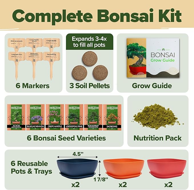 HOME GROWN Bonsai Tree Kit: Unique Christmas Gift for Men - Bonsai Starter Kit w/ 6 Seed Varieties - Unique Designed Pots - All-in-One Craft Kit for Adults for Gardeners & Plant Lovers