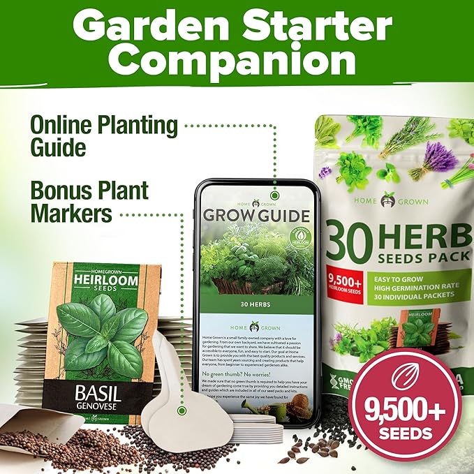 HOME GROWN 30 Herb Seeds Pack | 9,500 Non-GMO, Heirloom Seeds | Indoor & Outdoor Planting | Culinary Herb Seeds Variety Pack | HG30H Perfect for Hydroponic Gardens | Parsley, Rosemary, Thyme & More