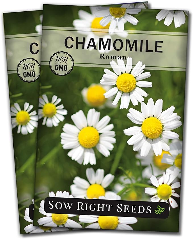 Sow Right Seeds - Roman Chamomile Seeds for Planting - Non-GMO Heirloom Packet with Instructions to Grow an Herbal Tea Garden - Indoors or Outdoor - Low Growing with Small Daisy-Like Blooms (2)