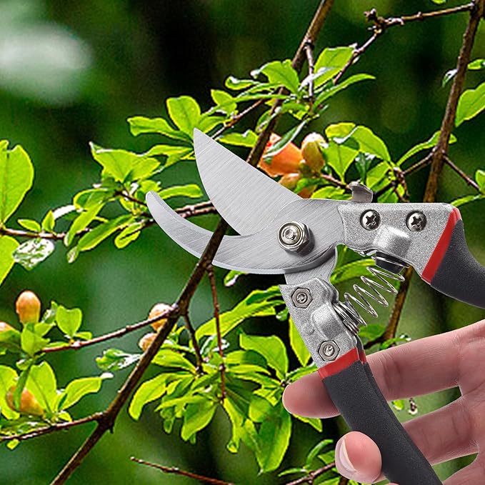 Pruning Shears for Gardening, Gardening Shears Heavy Duty, Cutting Shears Garden,Hedge Clippers, Rose Pruning Shears, Hand Clippers Gardening, Clippers For The Garden, Bonsai Cutters, (Red Black)
