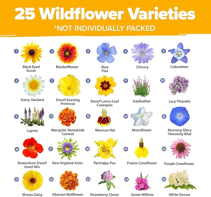 HOME GROWN 120,000+ Wildflower Seeds Bulk: (4oz) Perennial Wild Flower Seeds for Planting - Butterfly Garden Seeds for Attracting Birds & Bees - 25 Variety