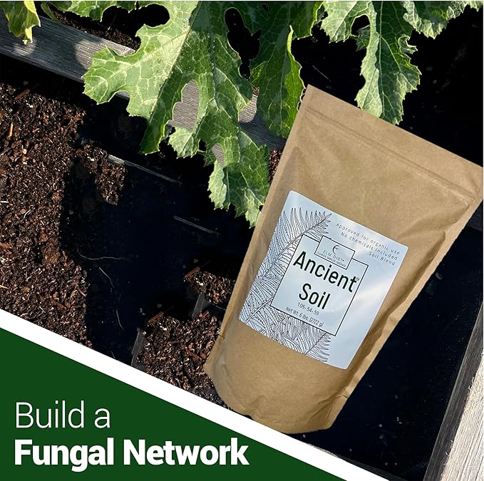 Elm Dirt Premium Ancient Soil for All Plants - Organic Plant Soil for Outdoor Plants & Indoor Plant Soil | Garden Soil for Plant Nutrients Growth & Protect your Plants Bugs - Roots Organic Soil (6lbs)
