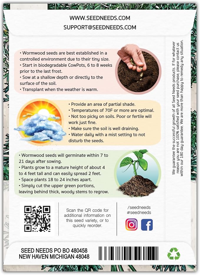 Seed Needs Wormwood Seeds for Planting - Non-GMO, Heirloom & Untreated Perennial Herb - Medicinal Herbs for Digestion & Gut Health (5 Packs)