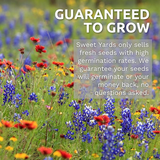 Southwest Regional Mix - Large 1 Ounce Packet - 15,000 Flower Seeds for Planting - Wildflower Mix
