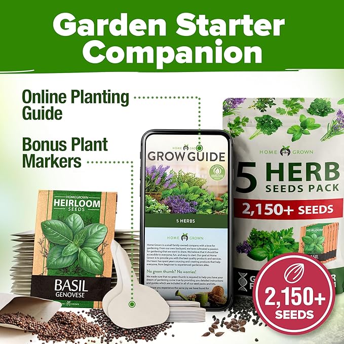 5 Herb Seeds Variety Pack - Culinary Herb Garden: Basil, Lavender, Cilantro, Parsley & Thyme Seeds for Planting Indoors/Outdoors 2000+ Non-GMO Heirloom Herb Seeds w/Bonus Markers & Grow Guide