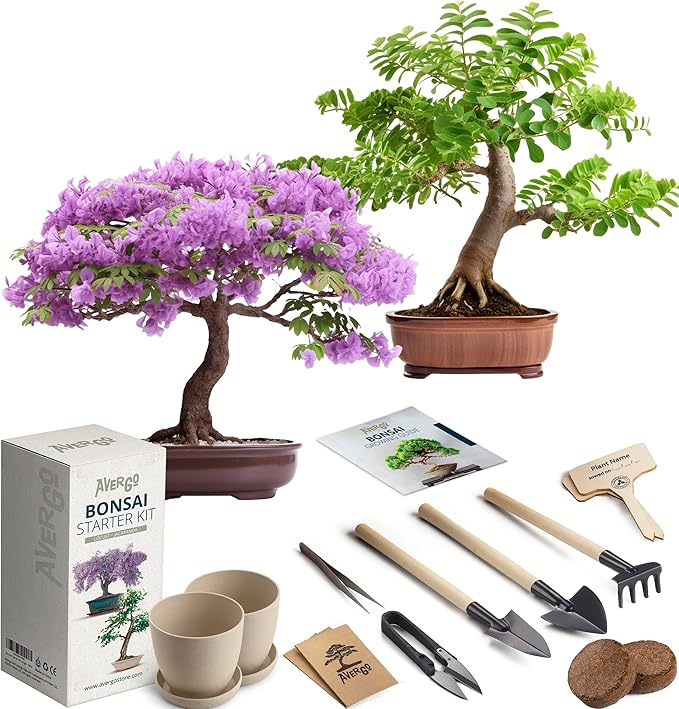 Bonsai Starter Kit – 2X Bonsai Tree | Complete Indoor Starter Kit for Growing Bonsai Plants with Tools & Planters – Gardening Gifts for Women & Men