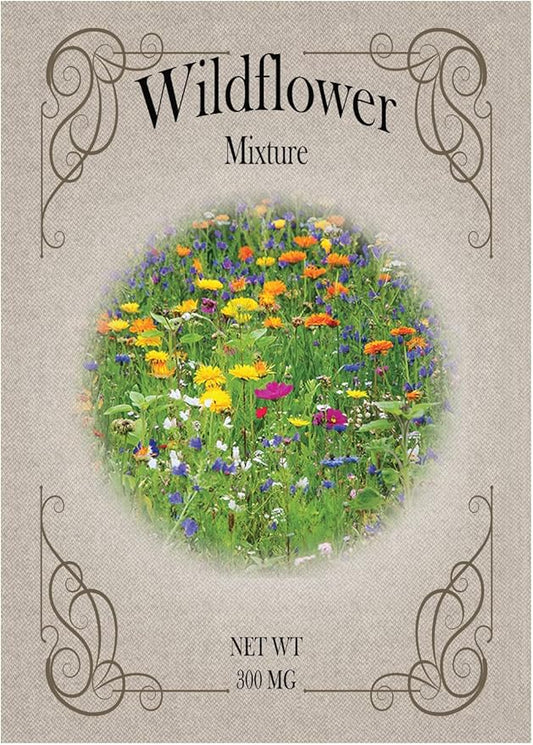 Set of 50 Flower Seed Packets! Flower Seeds in Bulk (50, Wildflower Mixture)