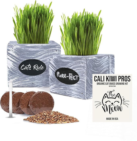 Cat Grass for Indoor Cats Kit β Best Value Organic Seed & Soil for 3 Growing Cycles, Natural Hairball Remedy & Cat Gifts (White Wash)