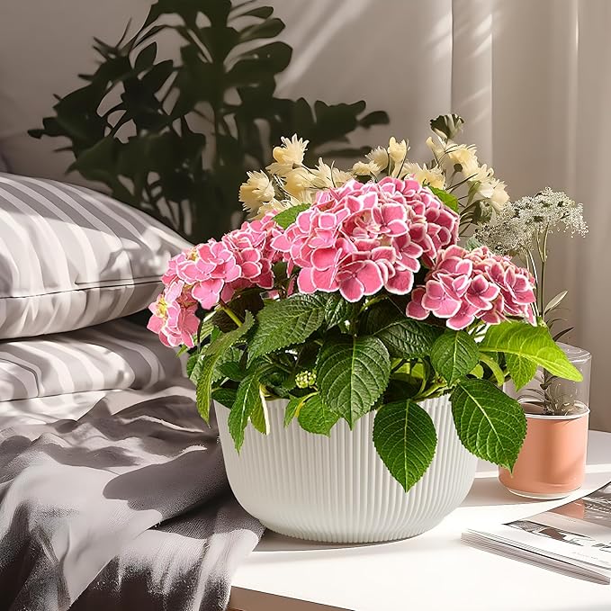 T4U Plant Pots 8 Inch, 2 Pack Self Watering Indoor Planter with Drainage Hole, Shallow Plant Pot, Home Decor Flower Pots for Plants, Herbs, Garden, White