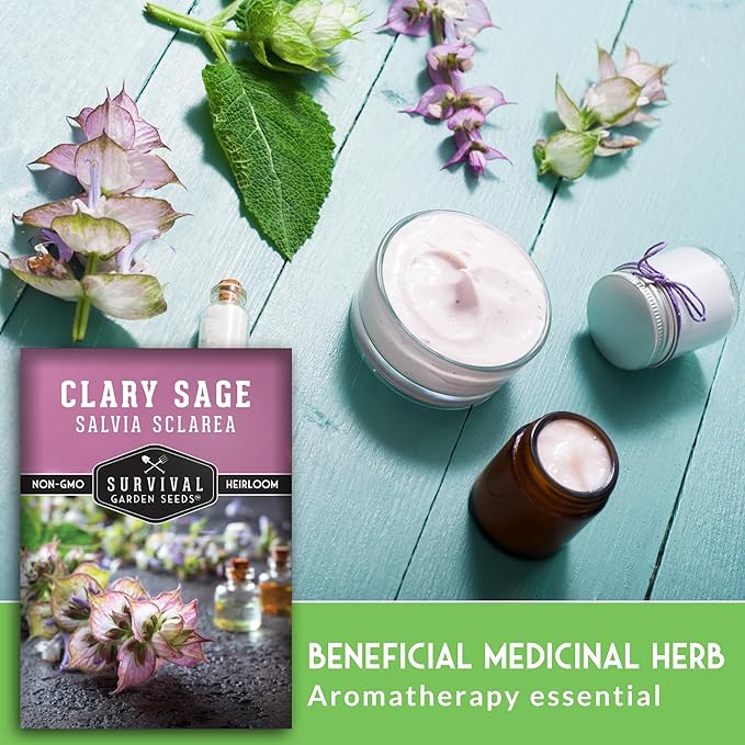 Survival Garden Seeds - Clary Sage Seed for Planting - 5 Packs with Instructions to Plant & Grow Salvia Sclarea Medicinal Herbs in Your Herbal Garden - Non-GMO Heirloom Variety