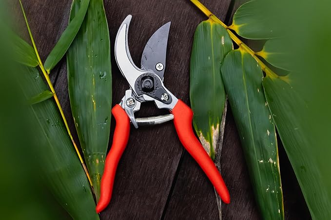 Raysbee Premium Plant Cutting 8' Professional Garden Bypass Pruner,Ergonomic,Rust-Resistant,Sharp Heavy duty Carbon Steel Blade, 1/2" Cutting, Non-slip Grip, Garden Scissors, Clippers, Shears