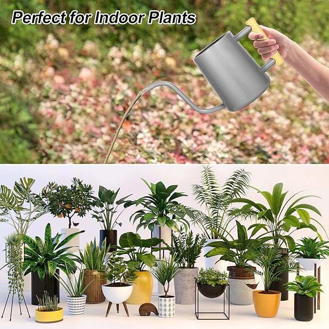 Watering Can Indoor Plants, 35 oz/1000 ml Metal Stainless Steel Watering Can Pot with Long Spout for Indoor House Plants Bonsai Outdoor Garden Flower Decorative (Gray)