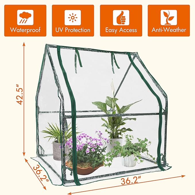Gardzen Mini Greenhouse Heavy Duty Portable Green House, Clear Tent Small Greenhouse for Indoor Outdoor Plants 36.2”(L) x36.2”(W) x42.5”(H)