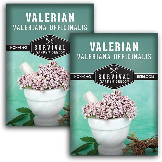Valerian Seeds for Planting - 2 Packets with Instructions to Plant and Grow Medicinal Herb Valeriana Officinalis in Your Home Herb Garden - Non-GMO Heirloom Variety - Survival Garden Seeds