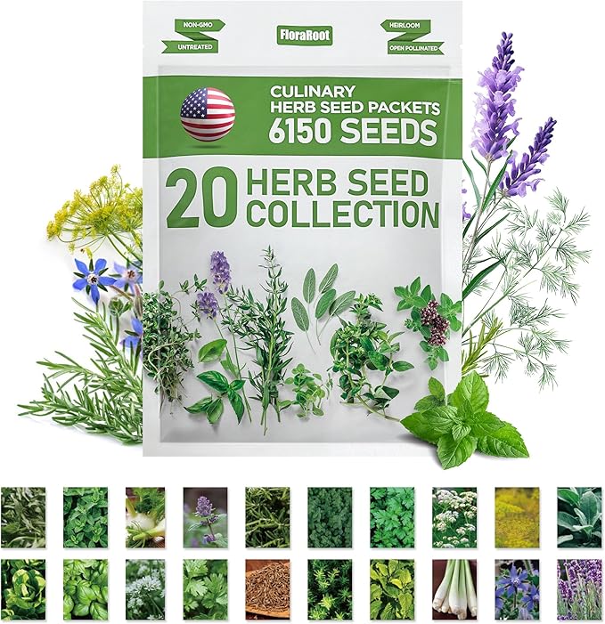 20 Culinary Herb Seeds Variety Pack, Non-GMO, Heirloom Collection with 6150+ Seeds for Indoor Hydroponic or Outdoor Garden Gift for Gardeners, New Home Housewarming Kitchen Live Plant Starter