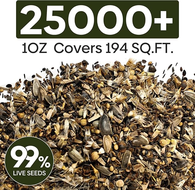 Wildflower Seeds Hummingbird and Butterfly Mix, 1 Oz, Package of 25,000+ Seeds, 24 Varieties Flowers Seeds to Plant Outside, Annual Perennial - Bulk Garden Seeds