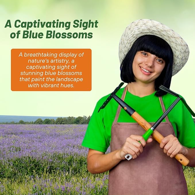 Outsidepride Blue Sage Seeds - 1/4 Lb. Perennial, Drought-Tolerant & Deer-Resistant Wildflower Seeds w/Fragrant Blooms for Pollinator Attractant for Butterfly & Hummingbird Gardens & Landscaping