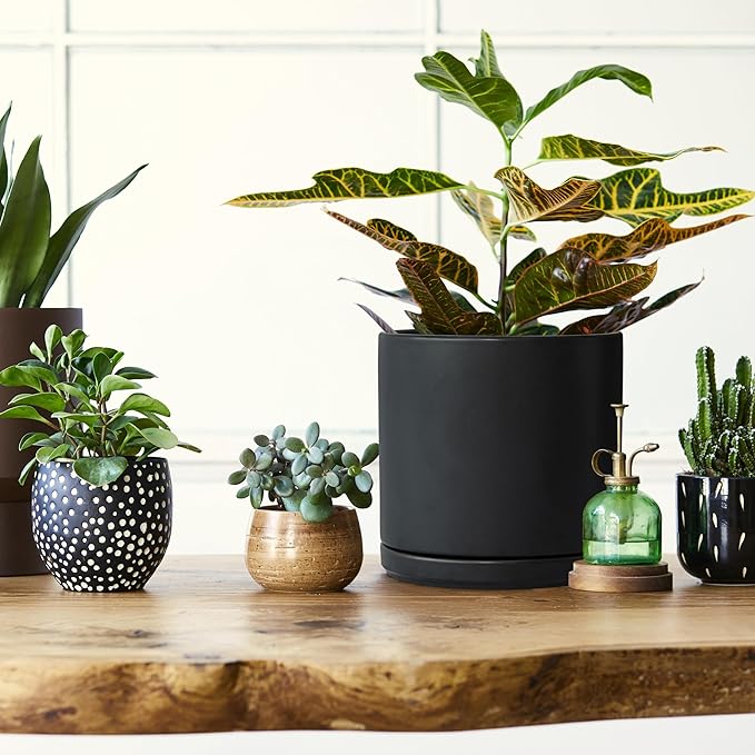 D'vine Dev 8 Inch Ceramic Planter Pot with Drainage Hole and Saucer, Indoor Cylinder Round Planter Pot, Black, 94-O-D-2