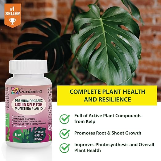 Monstera-Specific Organic Liquid Kelp Fertilizer - 16 oz - Boost Your Monstera's Growth and Leaf Development Naturally