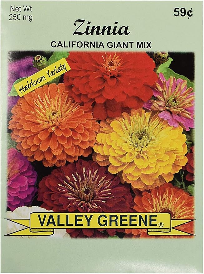 Set of Flower Seed Packets! Flower Seeds in Bulk - Great for Creating The Garden of Your Dreams! (100, Zinnia - California Mix)