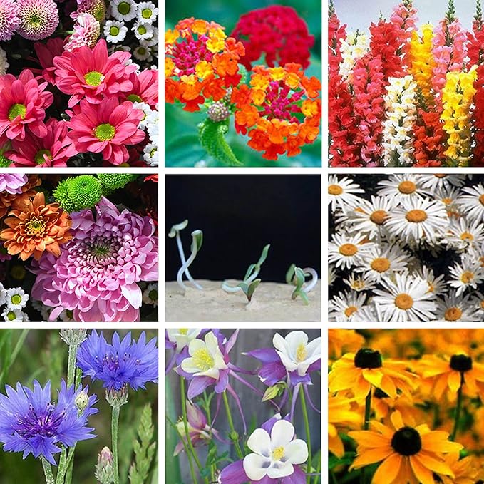 Plantable Wildflower Seeds Paper Heart Shaped with in Loving Memory- 50 Recycled Sympathy Gifts for Loss of Father Mother Loved One- Funeral Memorial Seed Paper Packets for Guest(NO Cards Included)