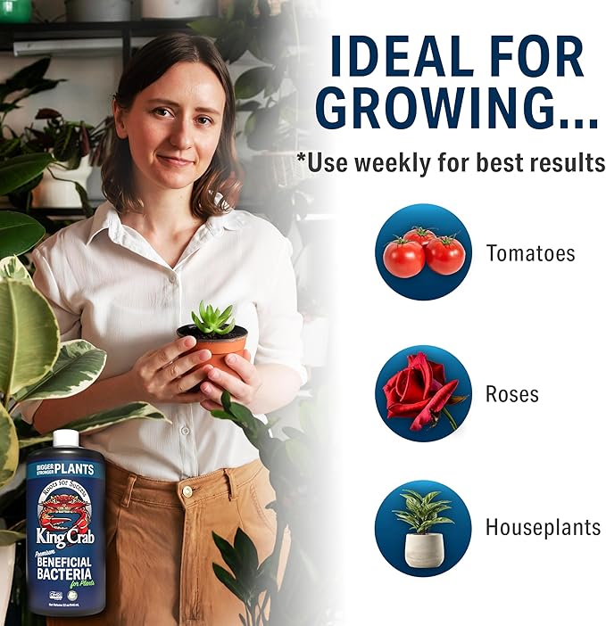 King Crab Instant Compost Tea, Root Stimulator for Plants, Ultra Concentrated OMRI Organic Bacteria, 275 Million Organisms per ml, Roses, Tomatoes, Houseplants, Soil Conditioner, Soil Microbes