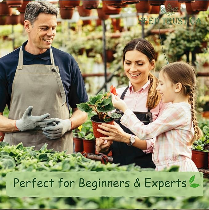 Egyptian Spinach (Molokhia) Seeds β 3000+ Non-GMO, High-Yielding Saluyot Vegetable Seeds for Planting β High Germination Rate, Heirloom Variety β USA (Molokhia)