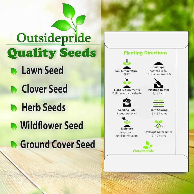 Outsidepride 10000 Seeds Perennial Common Green Plantain Herb Garden Seed for Planting