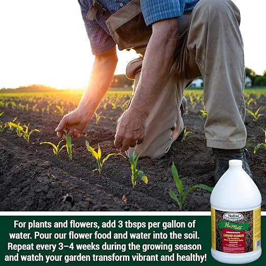 Medina Humate Humic Acid for Plants - Concentrated Liquid Compost, Humic Acid for Lawn - Enhance Plant Growth, Moisture Retention, Nutrient Absorption - Humates for Soil - 1 Gal Covers 8000 Sq. Ft.