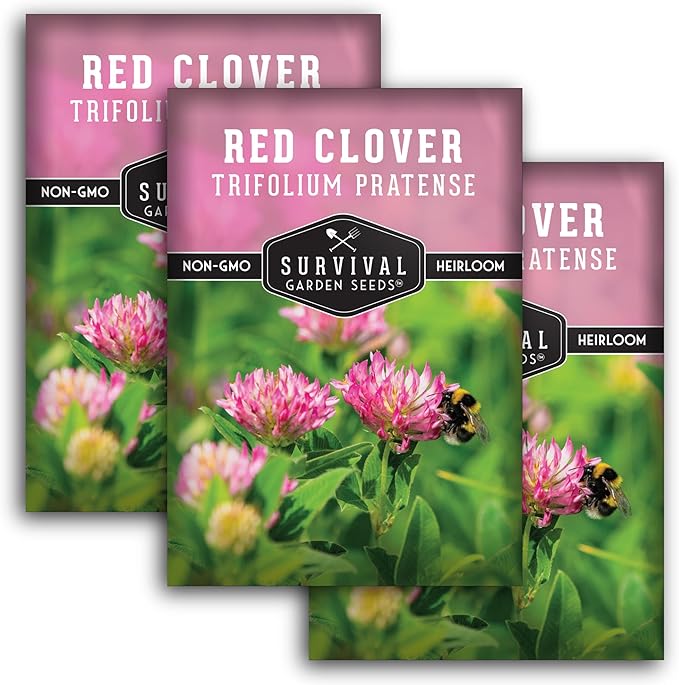 Survival Garden Seeds - Red Clover Seed for Planting - 3 Packets with Instructions to Plant & Grow a Medicinal Herb & Nitrogen Fixing Ground Cover in Your Home Garden - Non-GMO Heirloom Variety